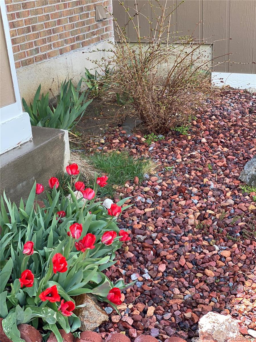 MLS Image #28 for 1110  lilac street,broomfield, Colorado