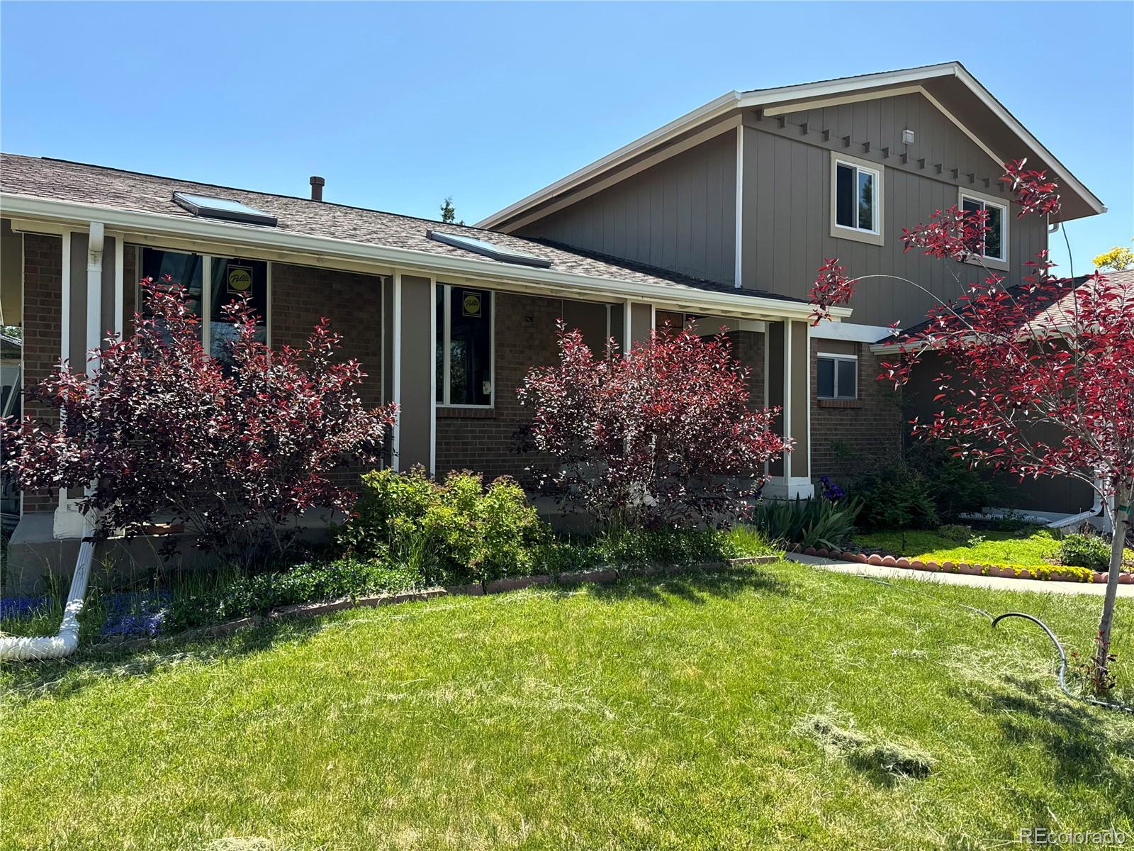 MLS Image #29 for 1110  lilac street,broomfield, Colorado