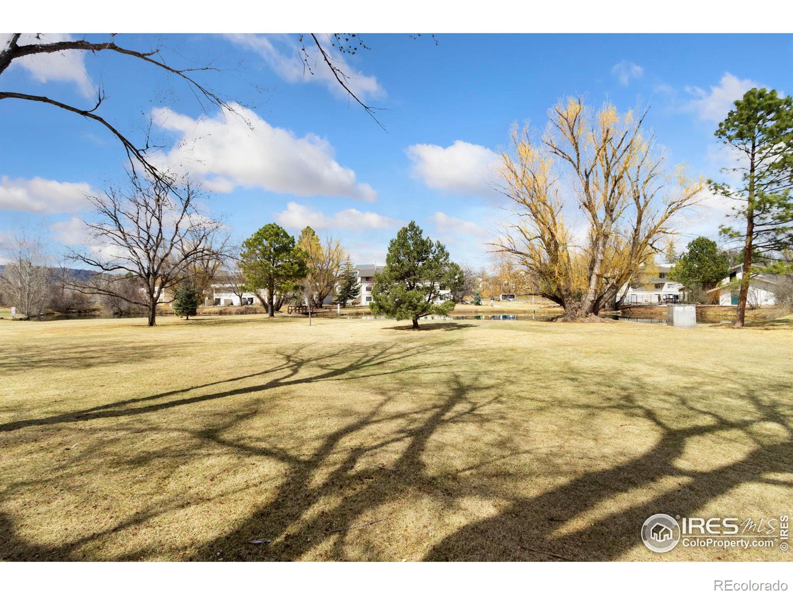 MLS Image #10 for 1705  heatheridge road,fort collins, Colorado