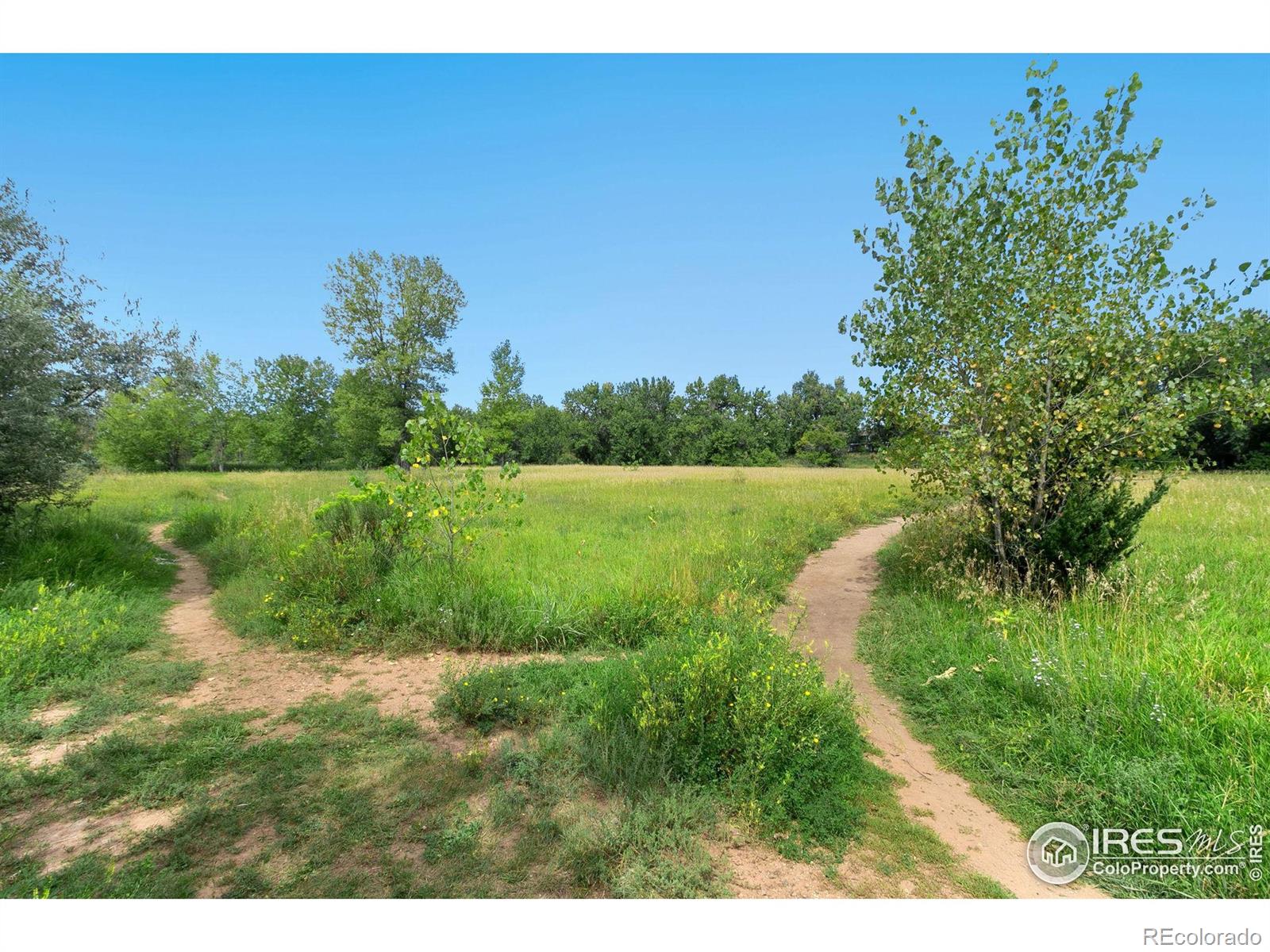 MLS Image #8 for 1705  heatheridge road,fort collins, Colorado