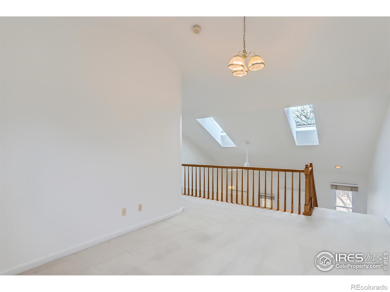 MLS Image #16 for 3101  almeria way,longmont, Colorado