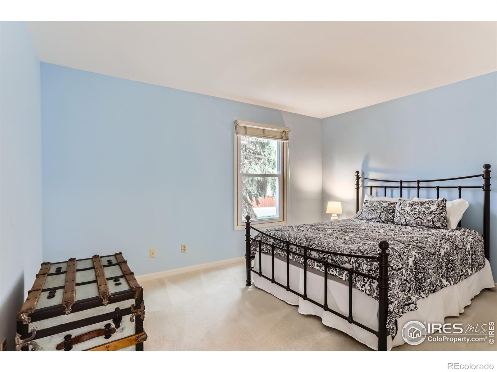 MLS Image #18 for 3101  almeria way,longmont, Colorado