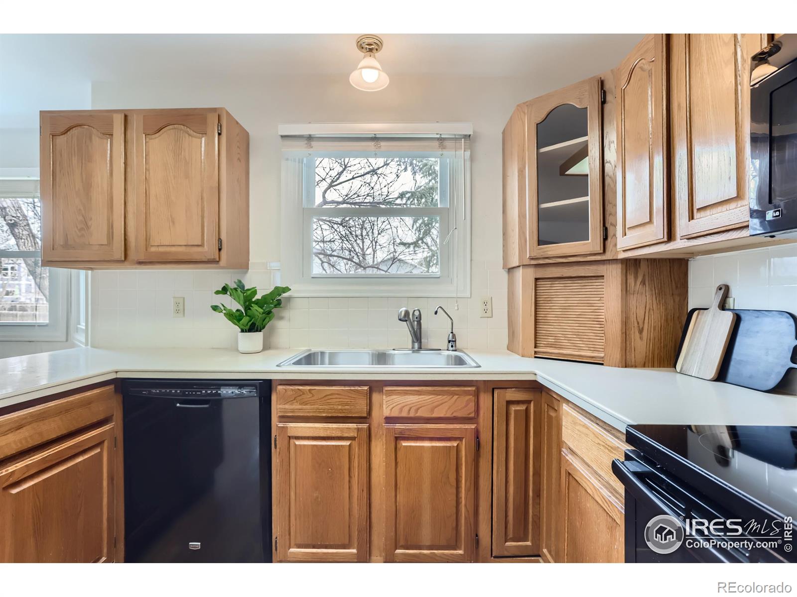 MLS Image #9 for 3101  almeria way,longmont, Colorado