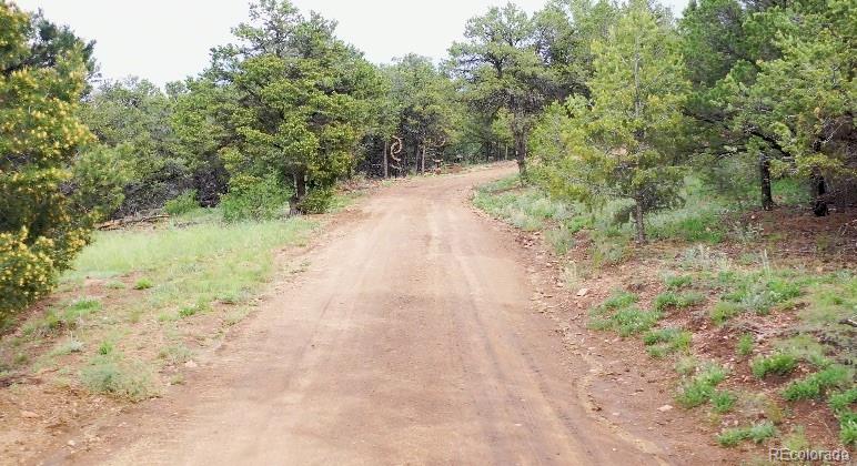 MLS Image #40 for 1310  pronghorn path,texas creek, Colorado