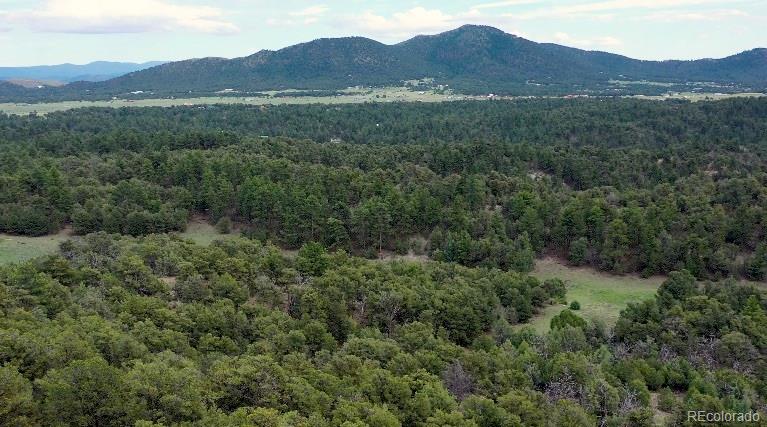 MLS Image #42 for 1310  pronghorn path,texas creek, Colorado