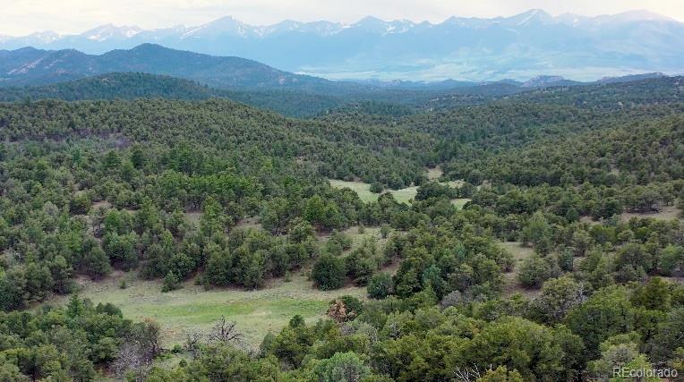 MLS Image #43 for 1310  pronghorn path,texas creek, Colorado