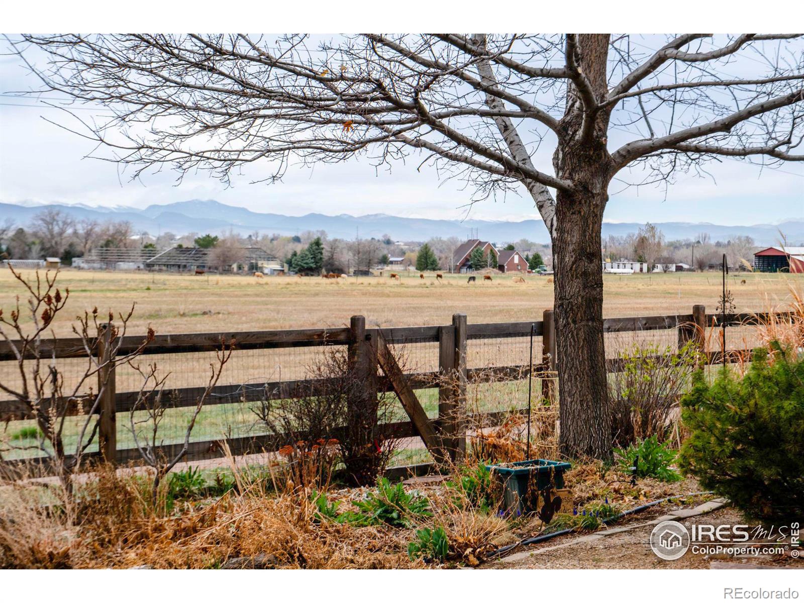 MLS Image #29 for 1234  banner circle,erie, Colorado