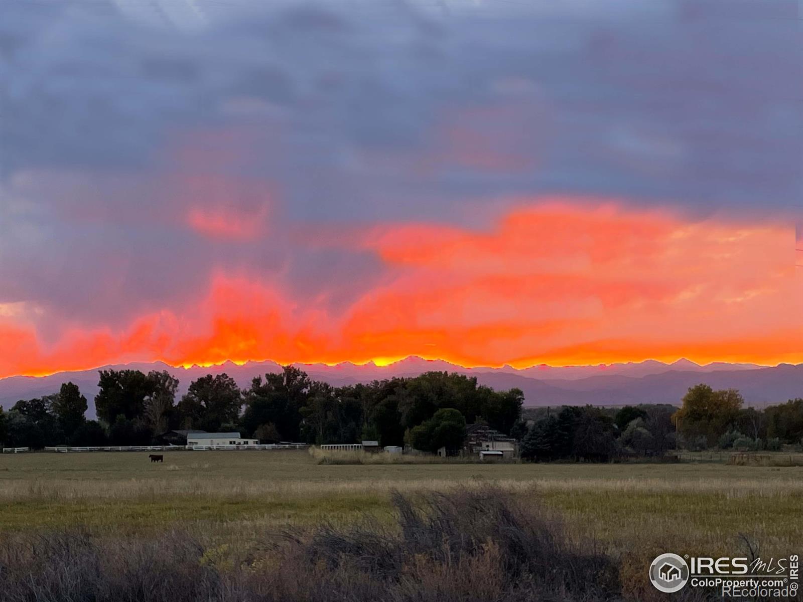 MLS Image #34 for 1234  banner circle,erie, Colorado