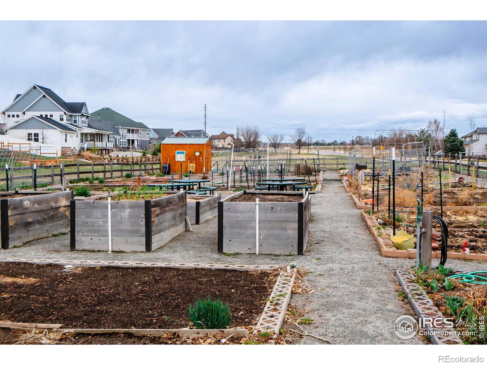 MLS Image #36 for 1234  banner circle,erie, Colorado
