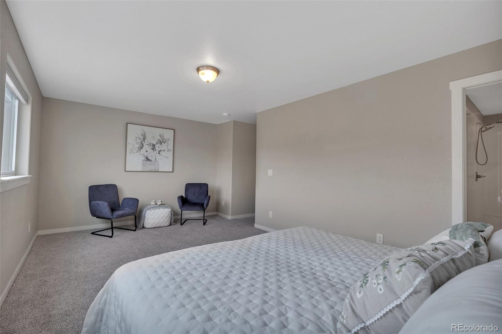 MLS Image #14 for 1691  valley oak court,castle rock, Colorado
