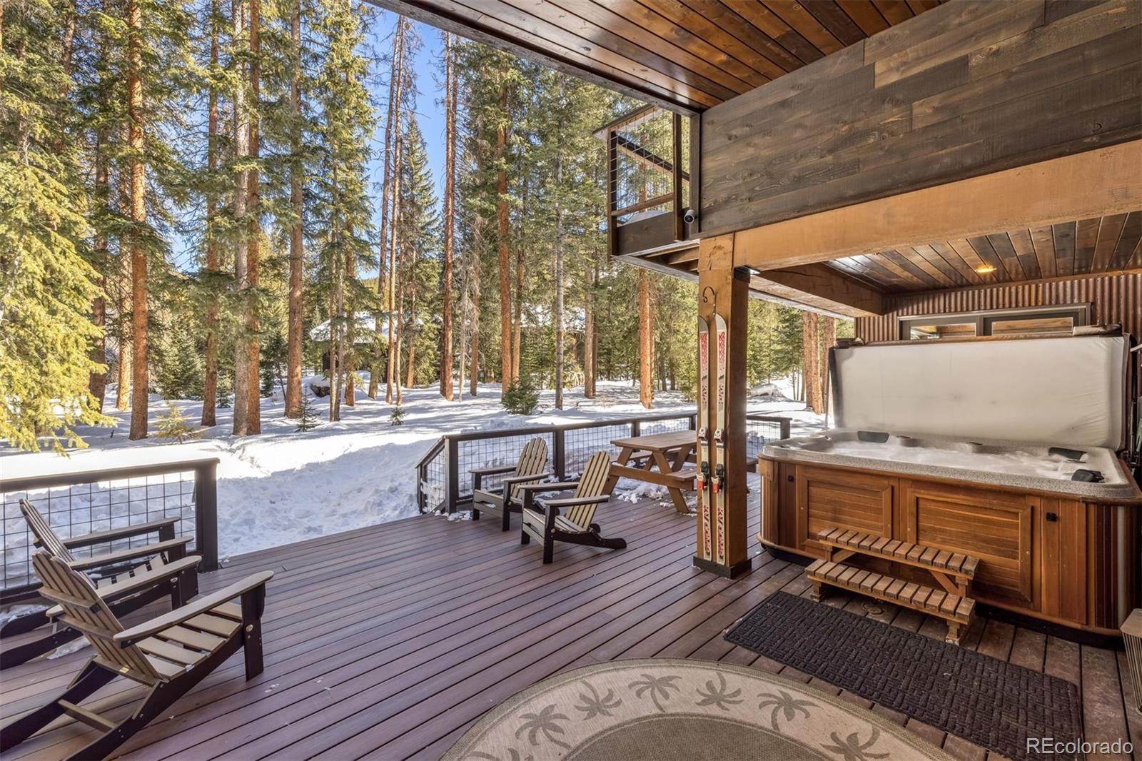 MLS Image #27 for 69  wilderness drive,breckenridge, Colorado
