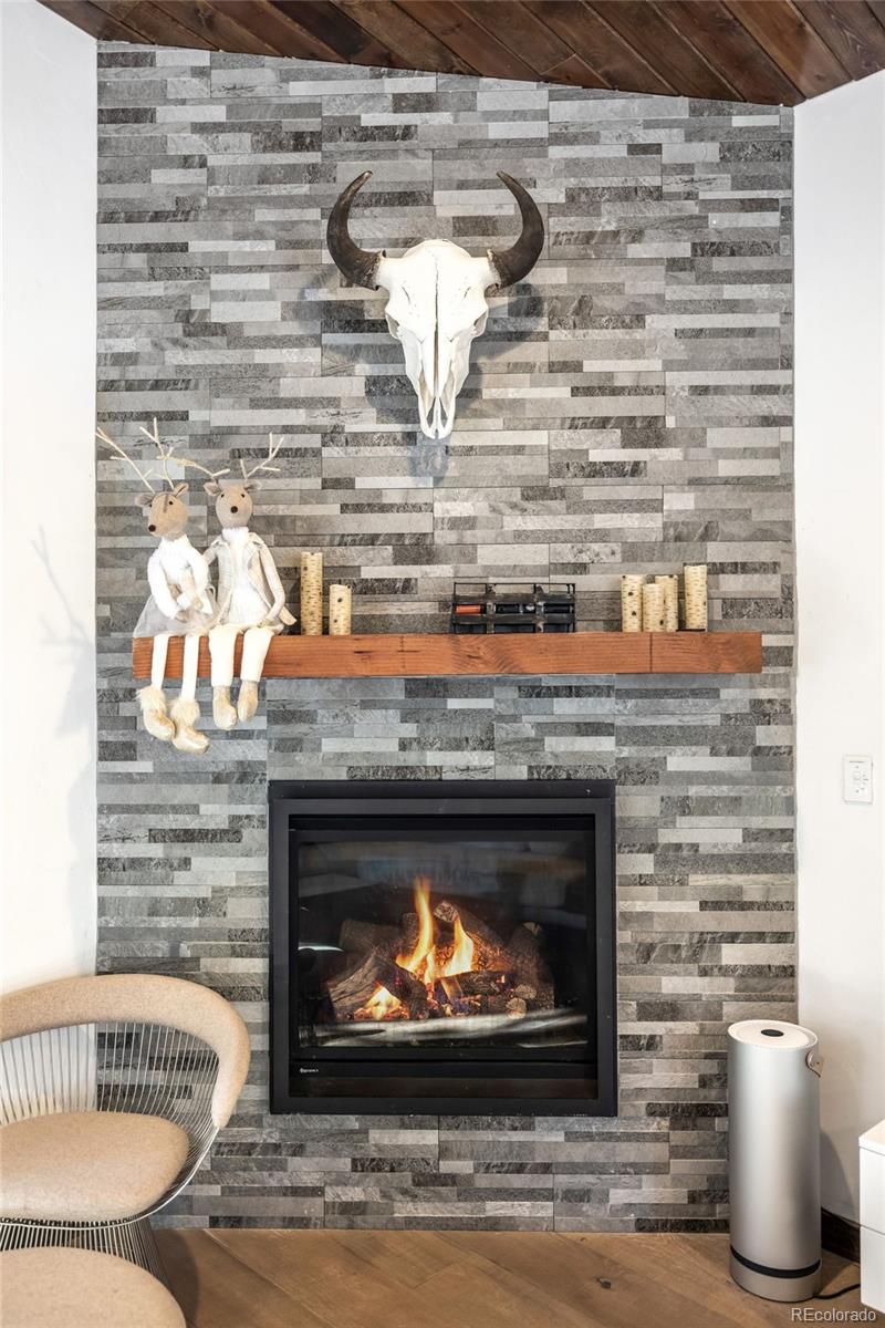 MLS Image #5 for 69  wilderness drive,breckenridge, Colorado