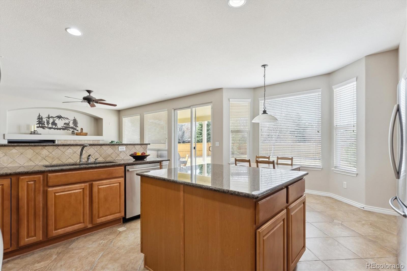 MLS Image #11 for 912  kryptonite drive,castle rock, Colorado