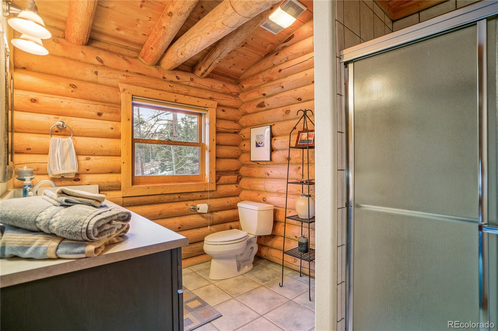 MLS Image #21 for 107  county road 407 ,la veta, Colorado