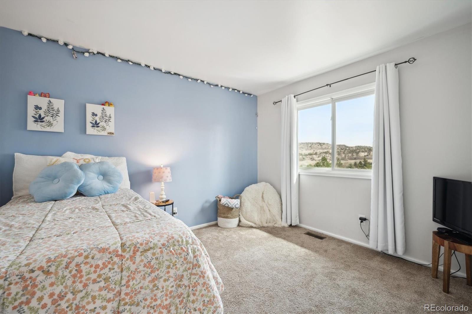 MLS Image #28 for 4  mountain ash ,littleton, Colorado