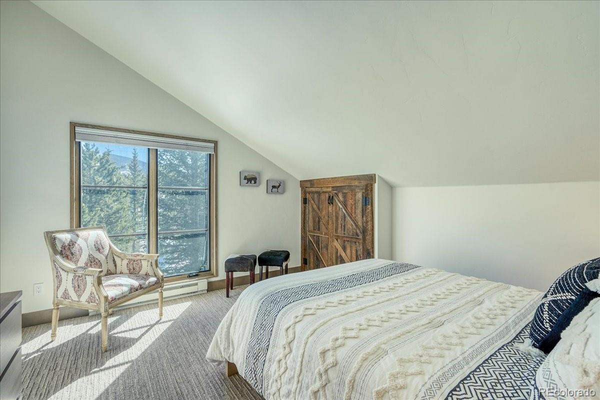 MLS Image #21 for 23  e road,silverthorne, Colorado