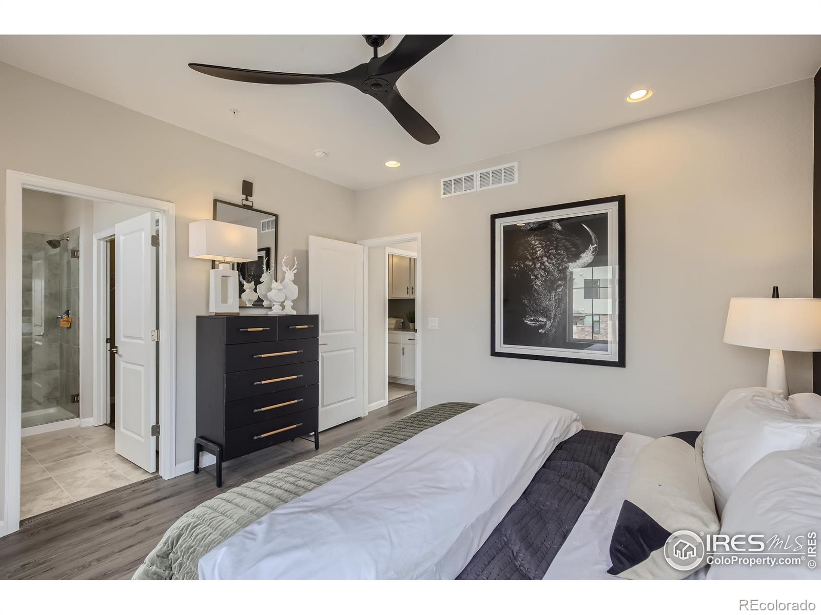 MLS Image #12 for 1002  collamer drive,fort collins, Colorado
