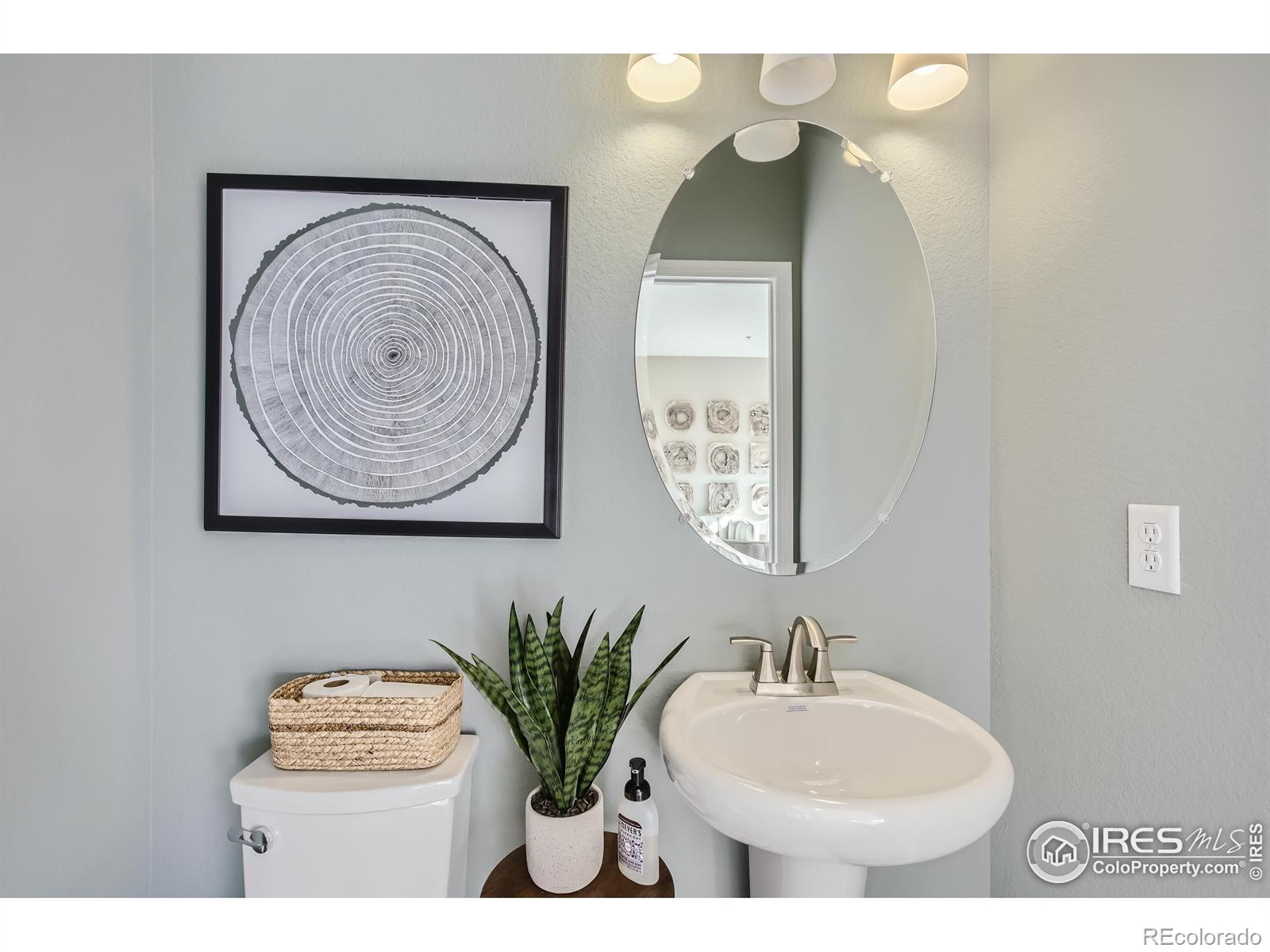 MLS Image #20 for 1002  collamer drive,fort collins, Colorado
