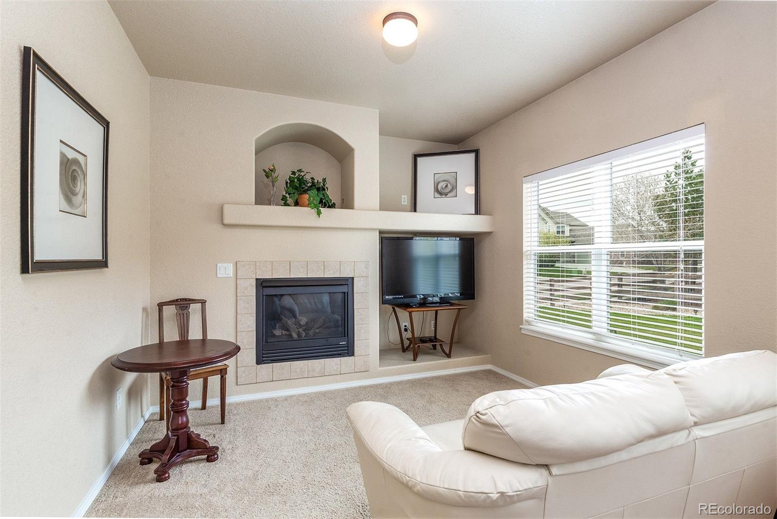 MLS Image #16 for 5804  yancey drive,colorado springs, Colorado