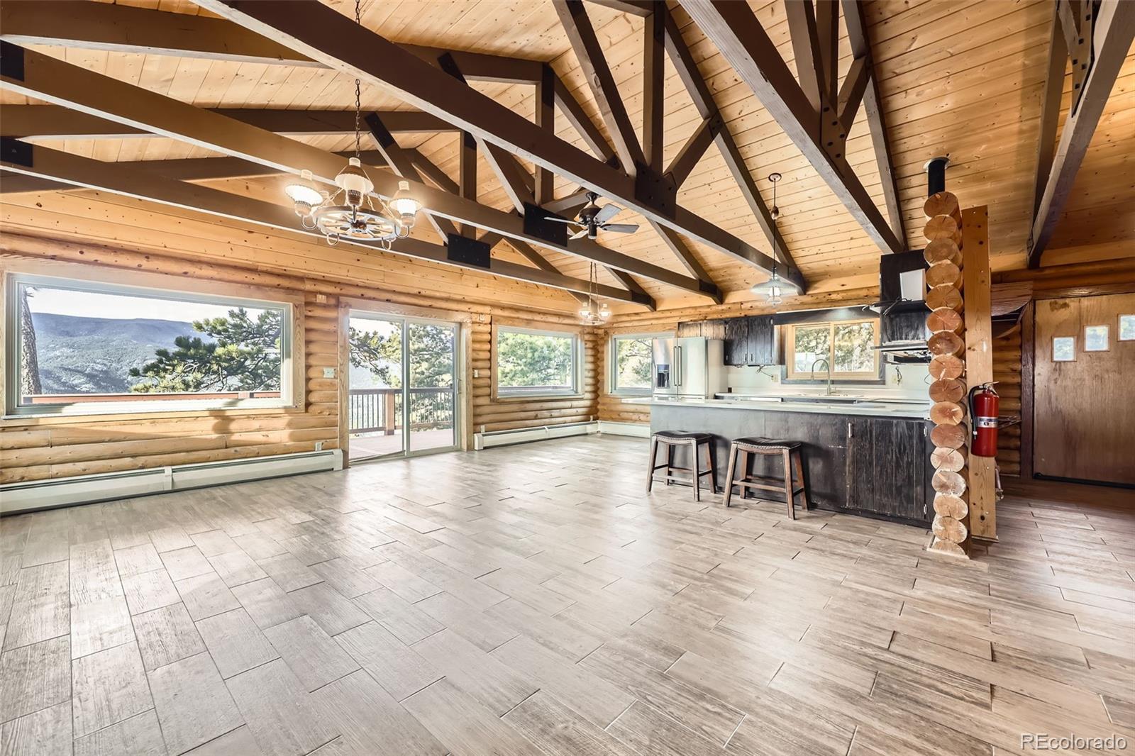 MLS Image #5 for 153  s ridge road ,bailey, Colorado
