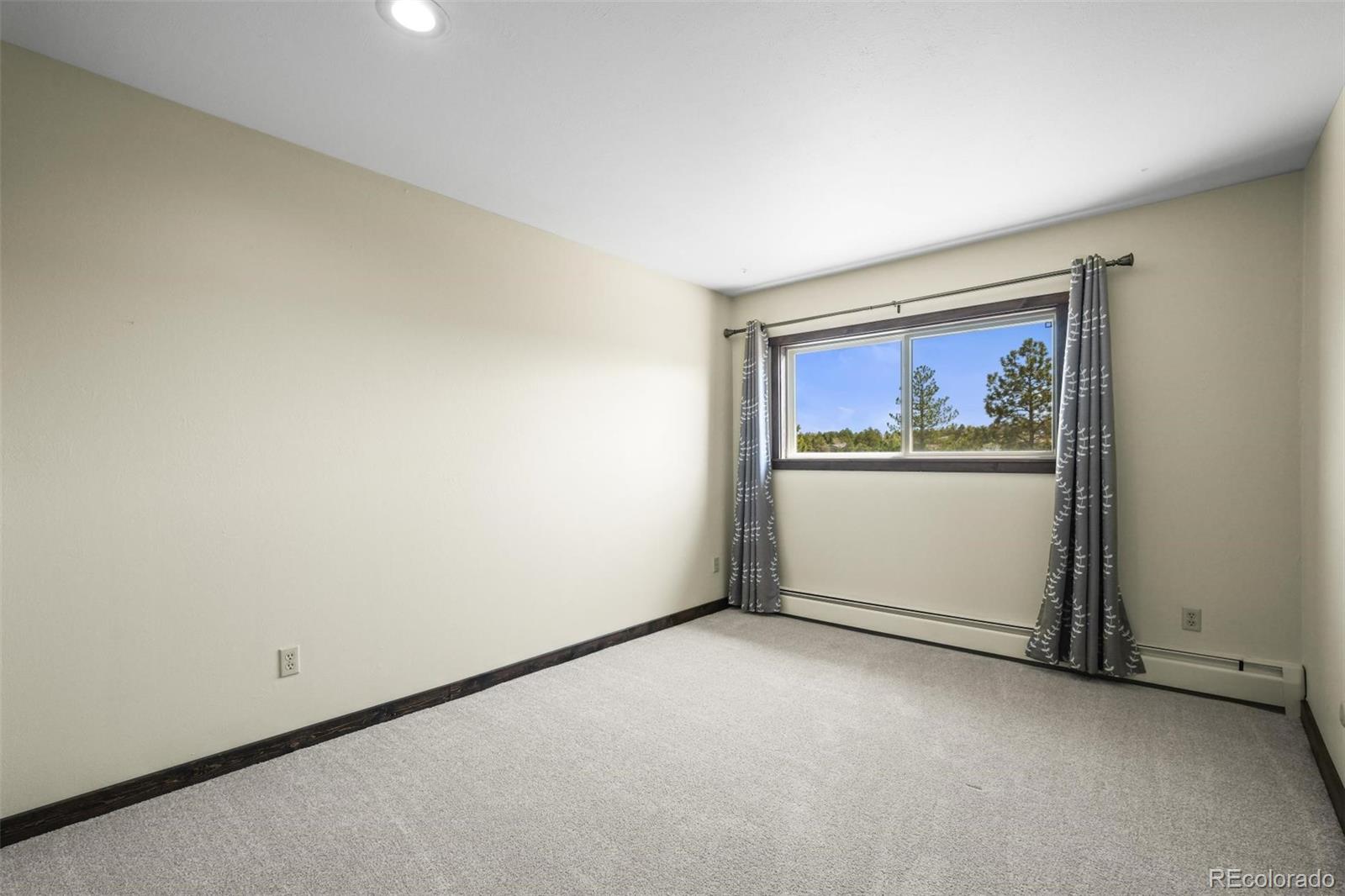 MLS Image #31 for 12346  piney lake road,parker, Colorado