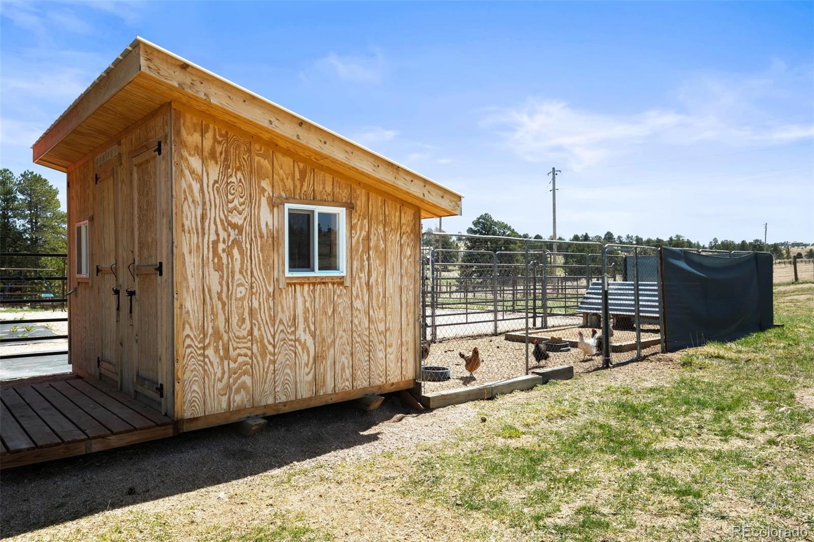 MLS Image #44 for 12346  piney lake road,parker, Colorado