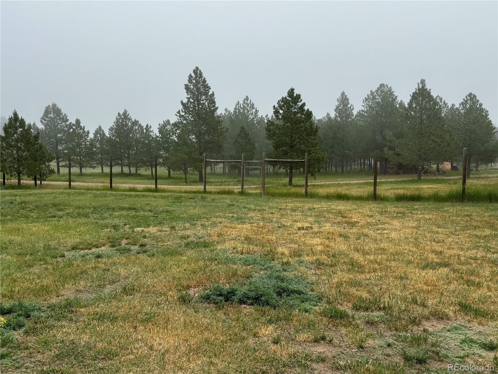 MLS Image #48 for 12346  piney lake road,parker, Colorado