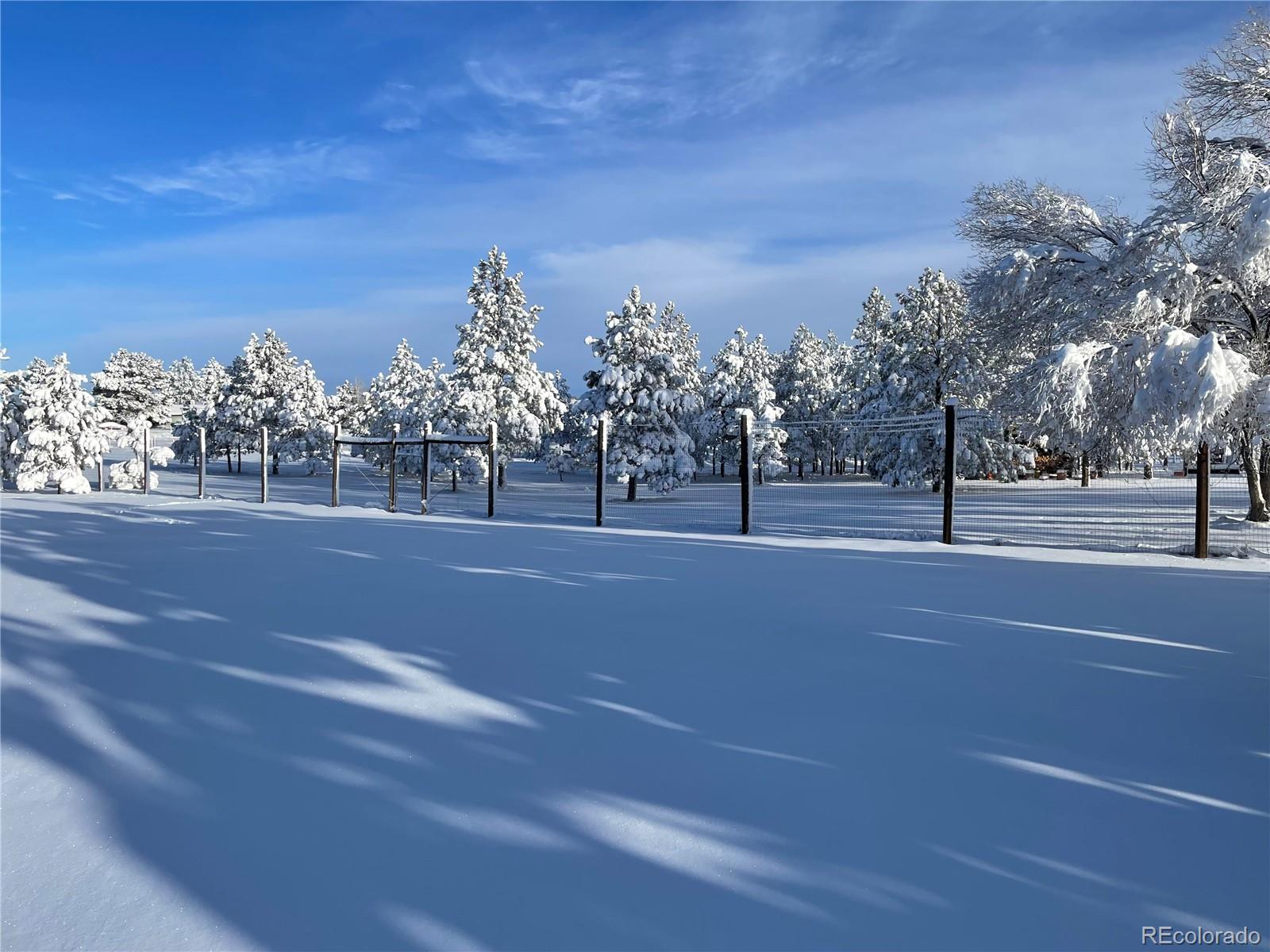 MLS Image #49 for 12346  piney lake road,parker, Colorado