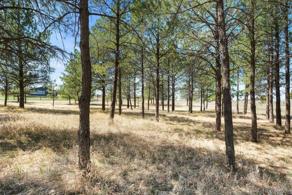 MLS Image #8 for 12346  piney lake road,parker, Colorado