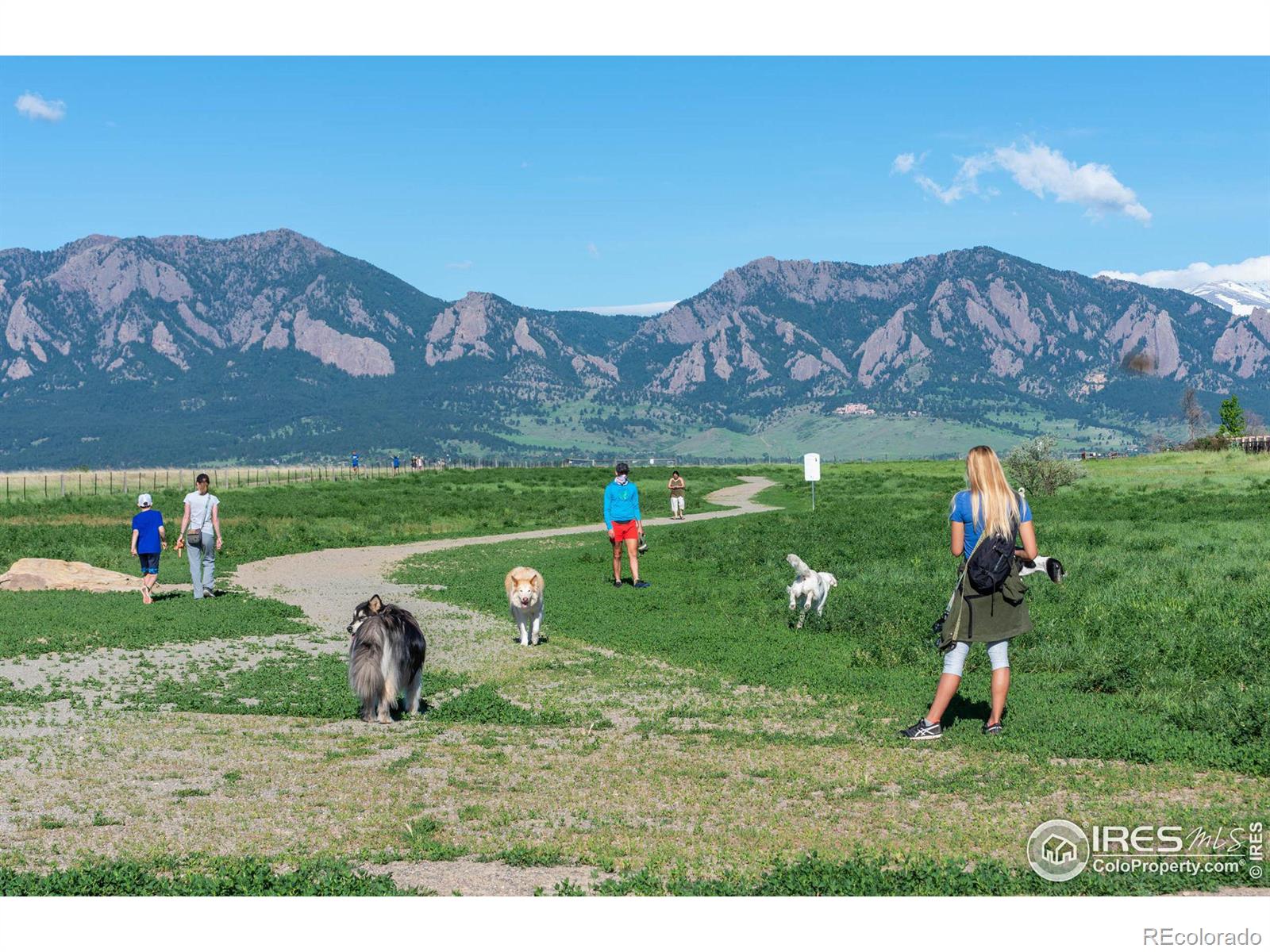 MLS Image #35 for 814  trail ridge drive,louisville, Colorado