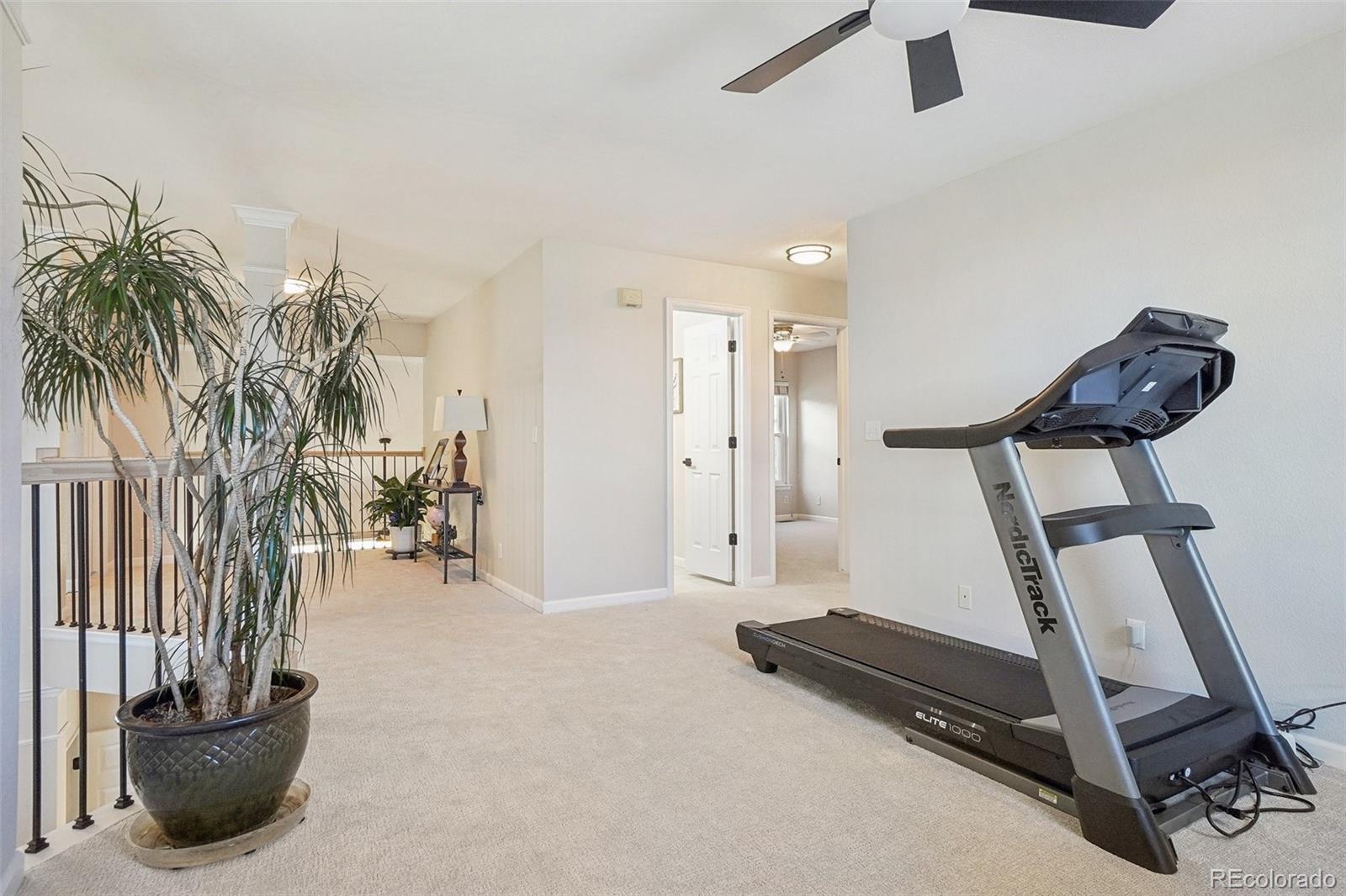 MLS Image #27 for 9805  keenan street,highlands ranch, Colorado