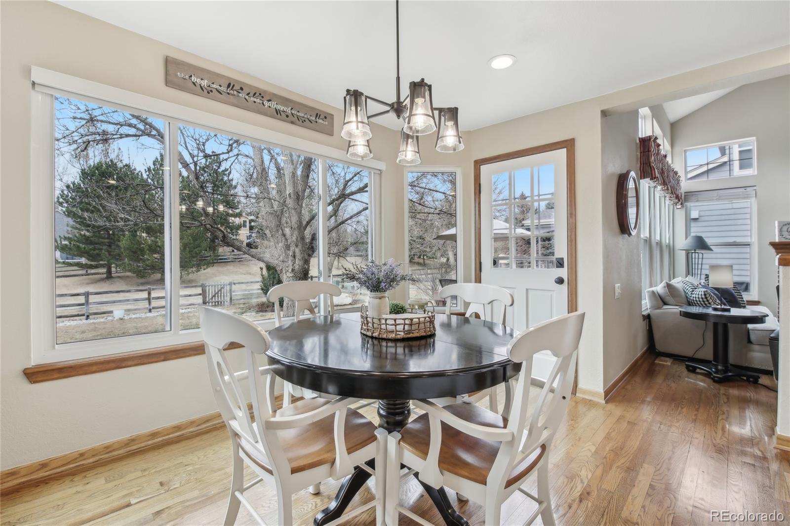 MLS Image #17 for 10019  hooker street,westminster, Colorado