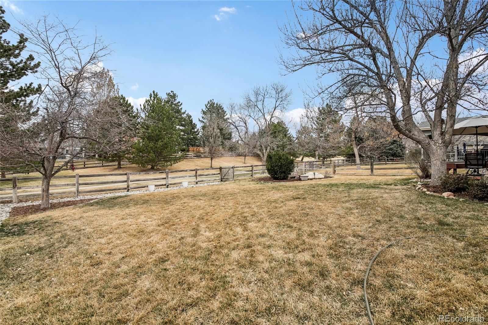MLS Image #8 for 10019  hooker street,westminster, Colorado