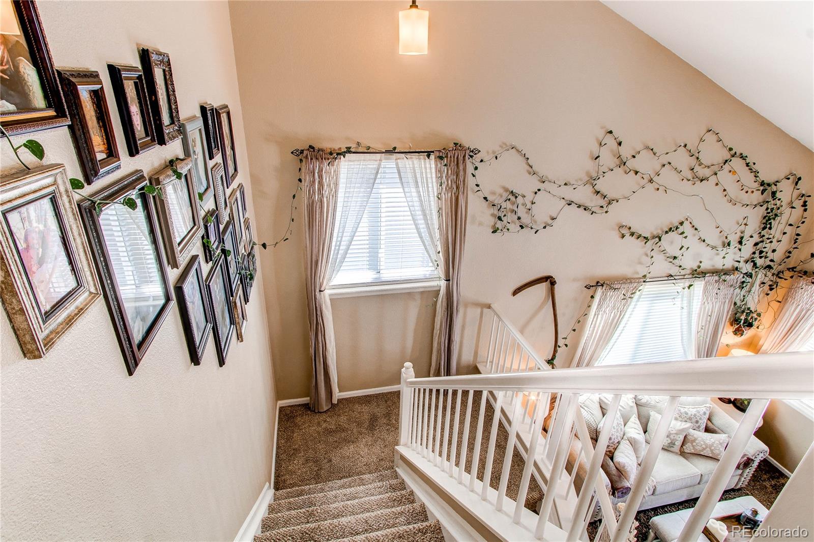 MLS Image #19 for 4969  thorndike avenue,castle rock, Colorado