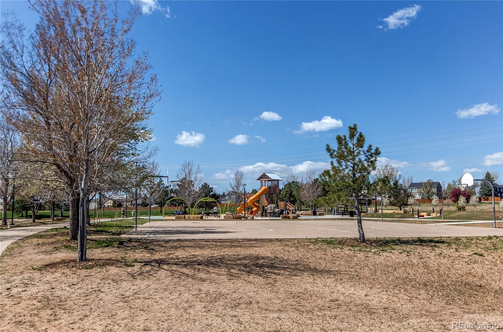 MLS Image #47 for 4969  thorndike avenue,castle rock, Colorado