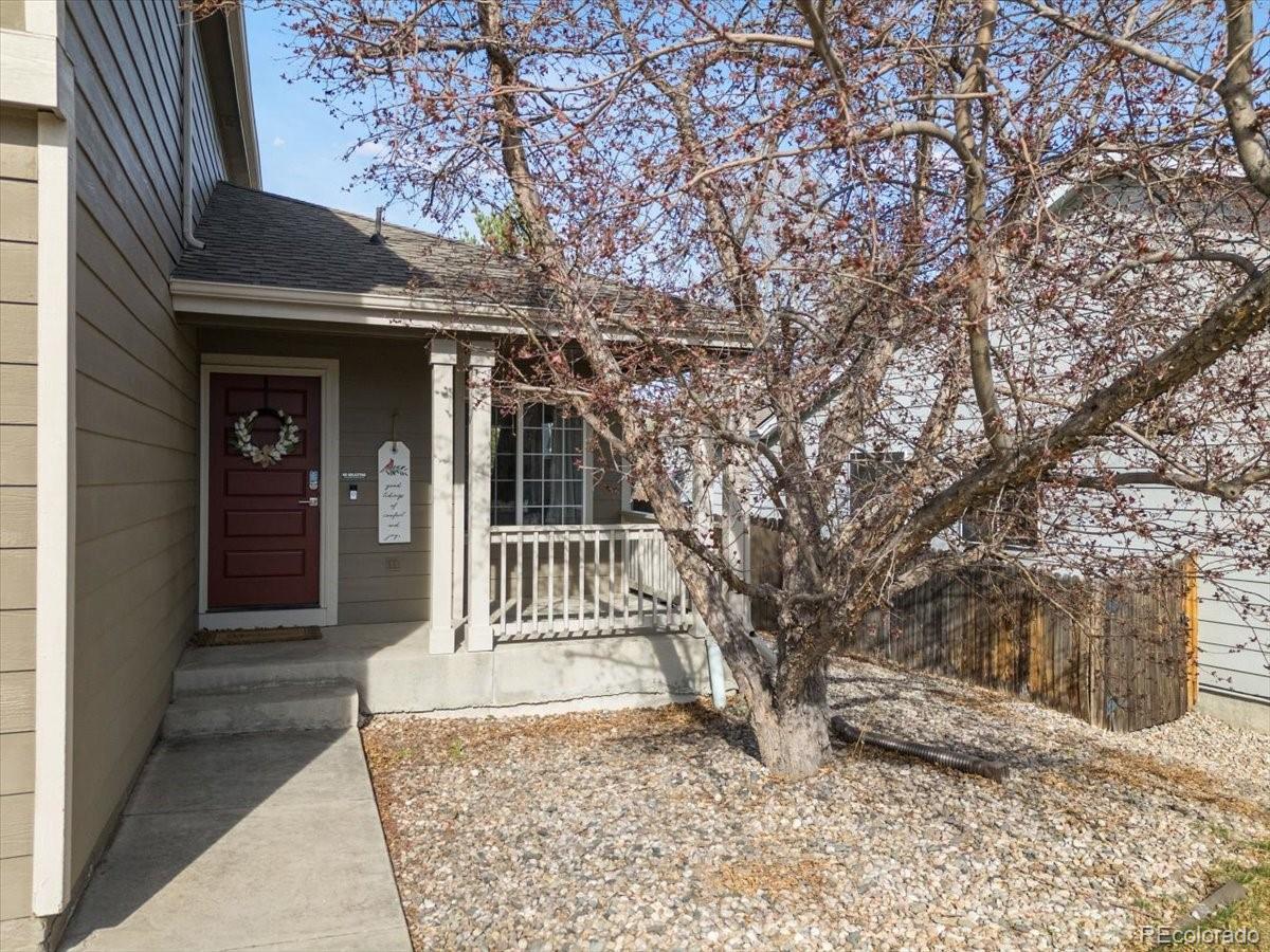 MLS Image #3 for 1674  box prairie circle,loveland, Colorado