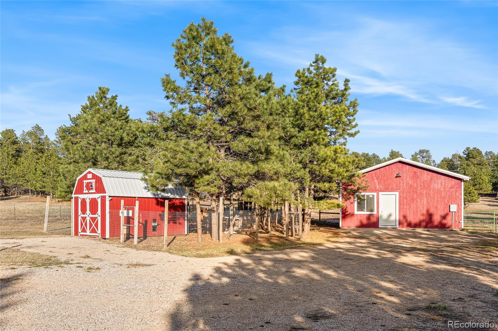 MLS Image #2 for 12097  ponderosa lane,kiowa, Colorado