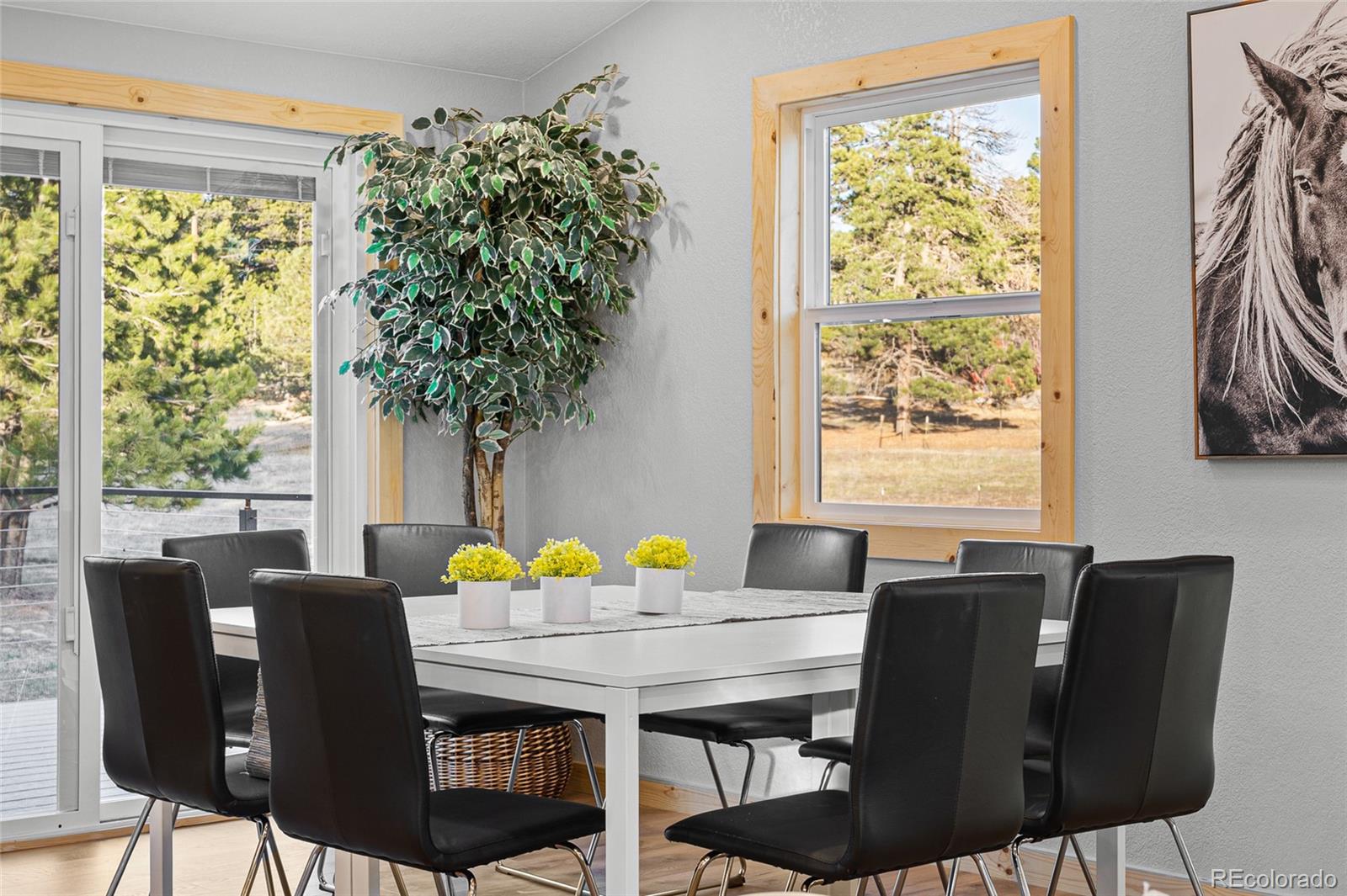 MLS Image #9 for 12097  ponderosa lane,kiowa, Colorado