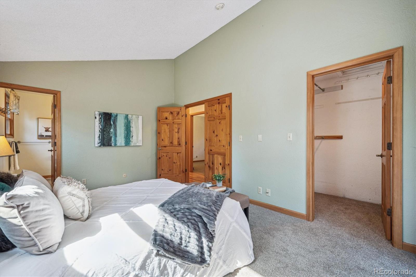 MLS Image #13 for 20025  flint lane,morrison, Colorado