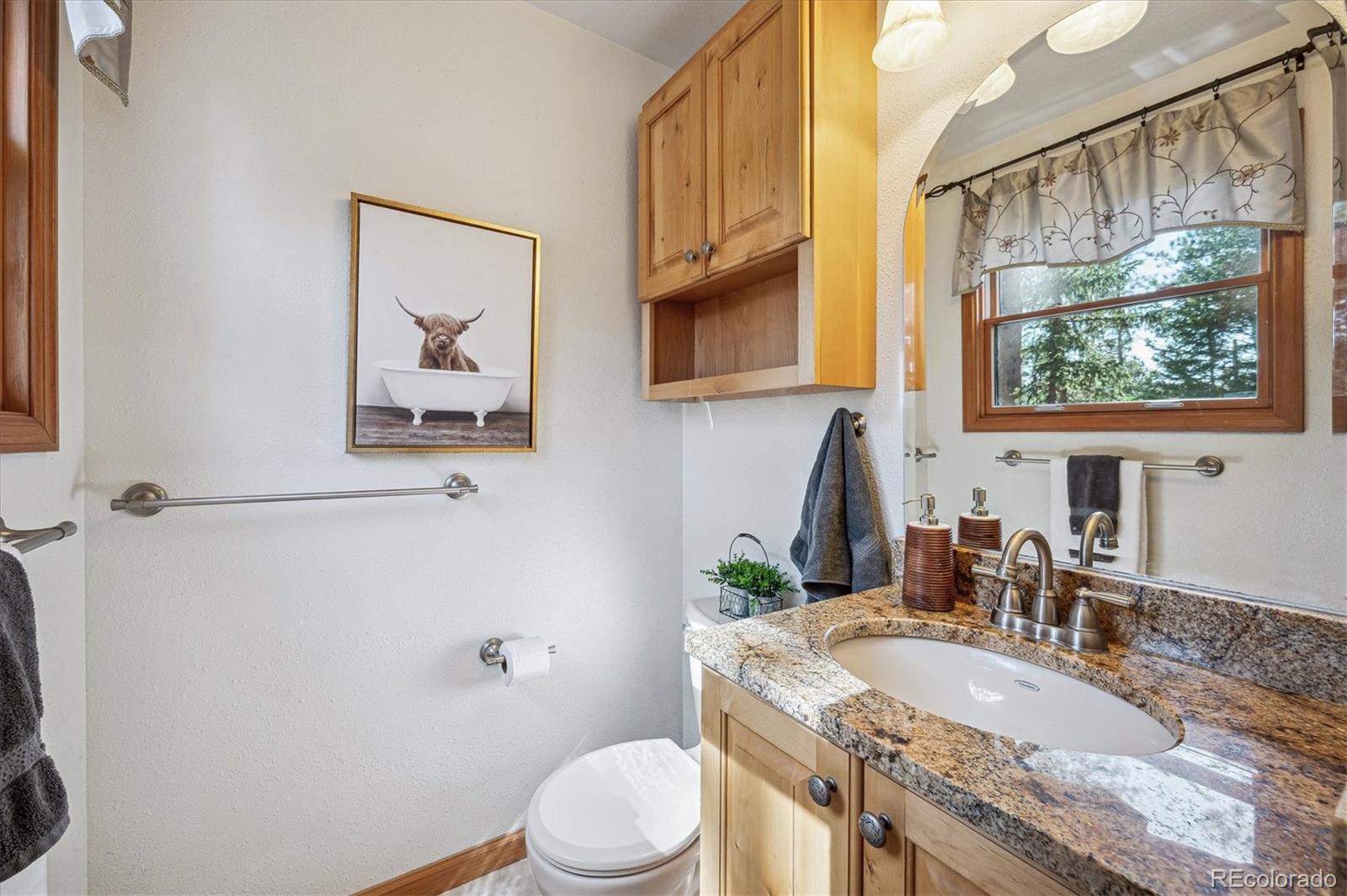 MLS Image #15 for 20025  flint lane,morrison, Colorado