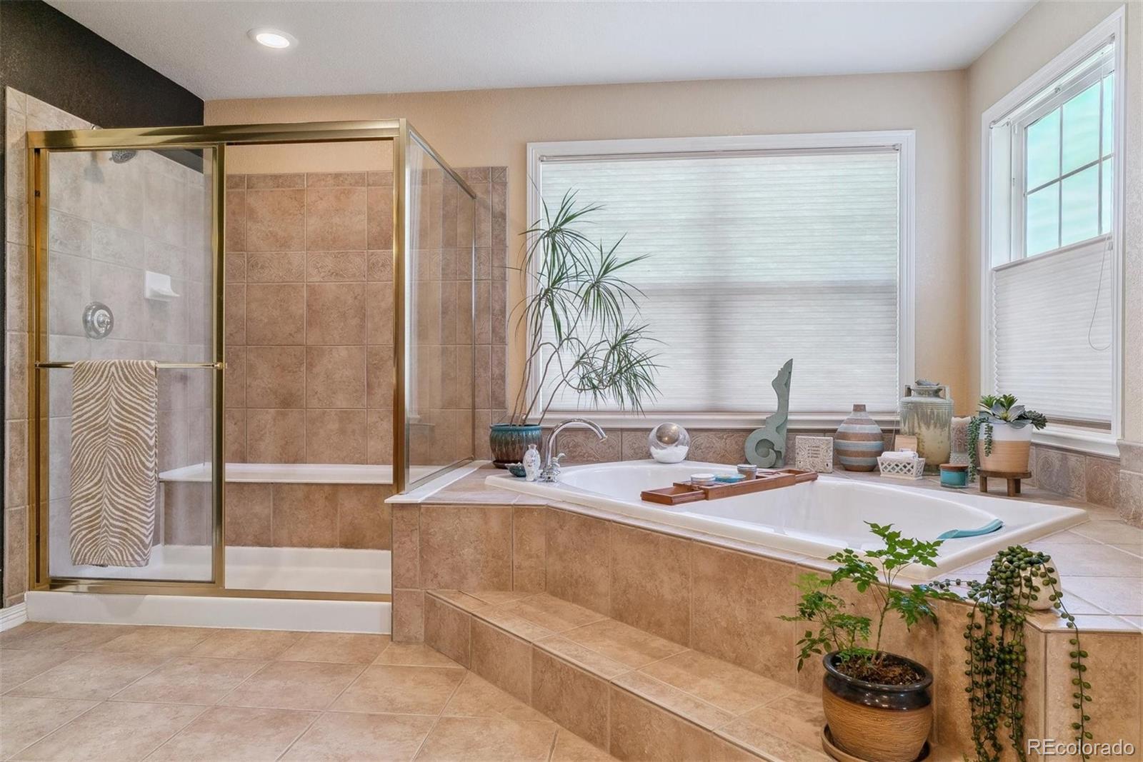 MLS Image #17 for 20367 e three pines ranch place,parker, Colorado