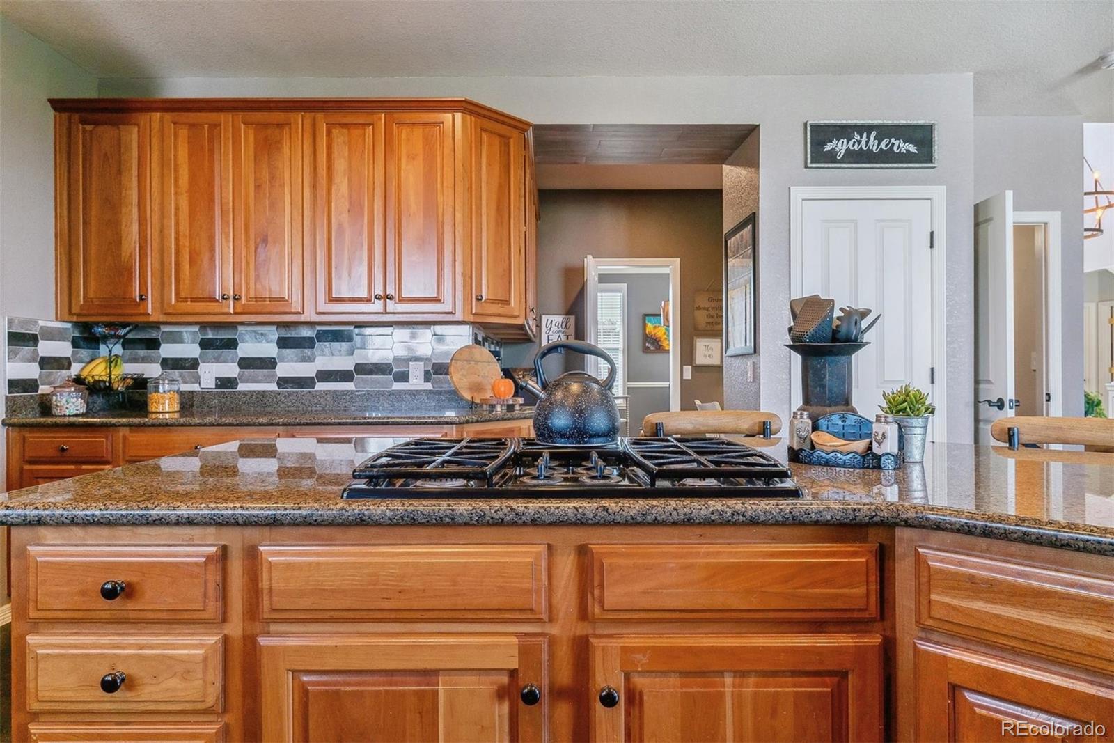 MLS Image #47 for 20367 e three pines ranch place,parker, Colorado