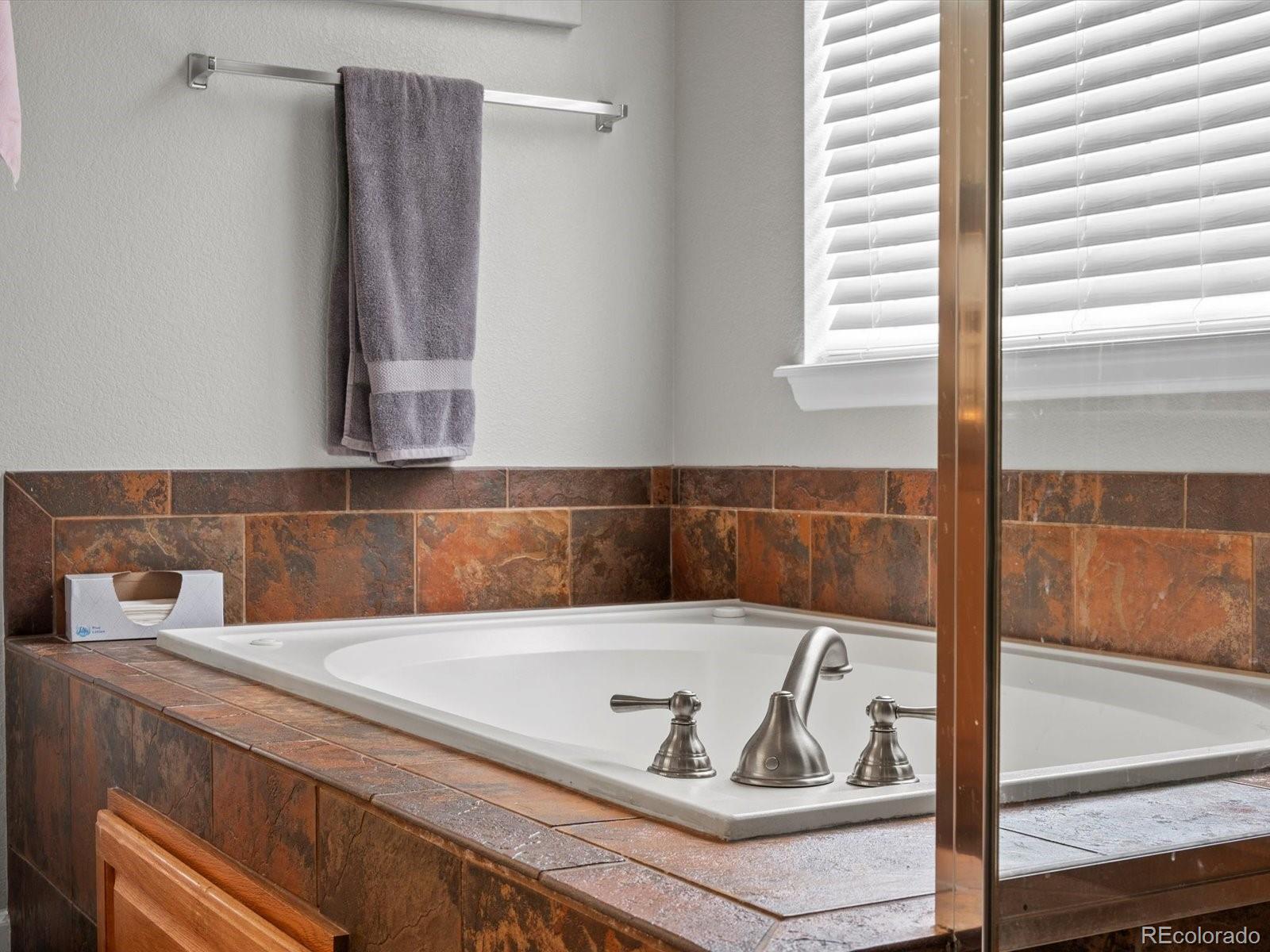MLS Image #31 for 8501  hackamore road,littleton, Colorado