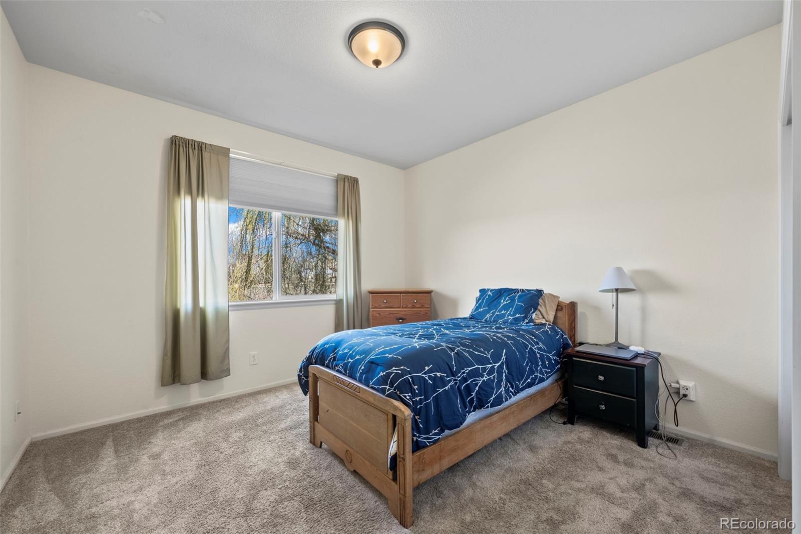 MLS Image #12 for 16823  weber way,mead, Colorado