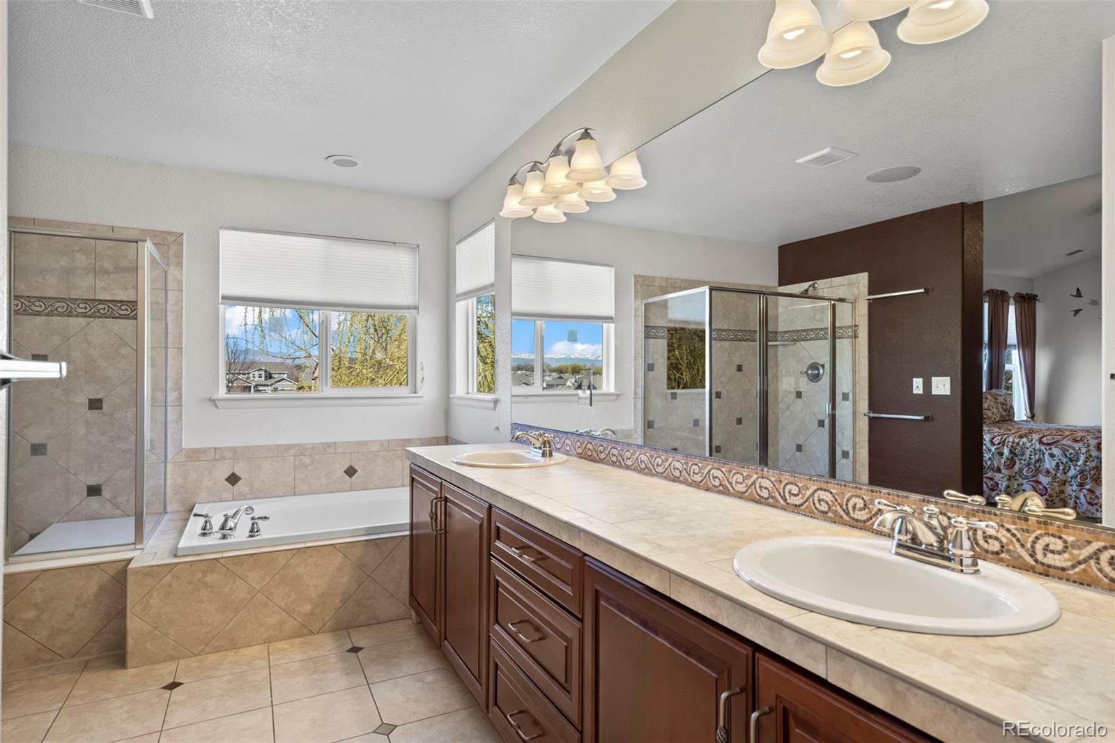 MLS Image #17 for 16823  weber way,mead, Colorado