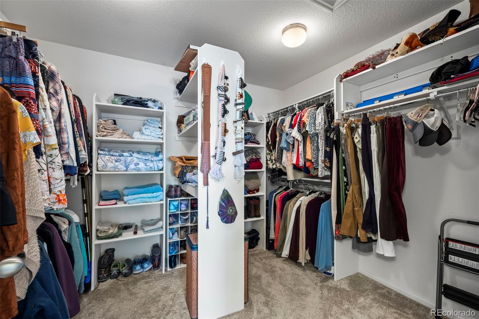 MLS Image #18 for 16823  weber way,mead, Colorado