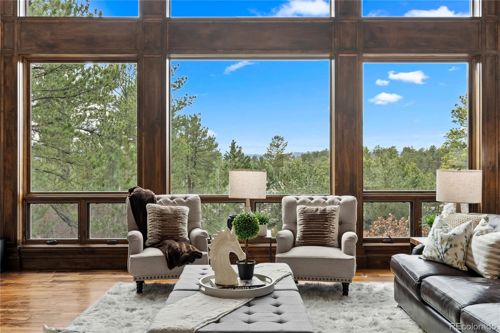 MLS Image #3 for 662  yankakee drive,castle rock, Colorado