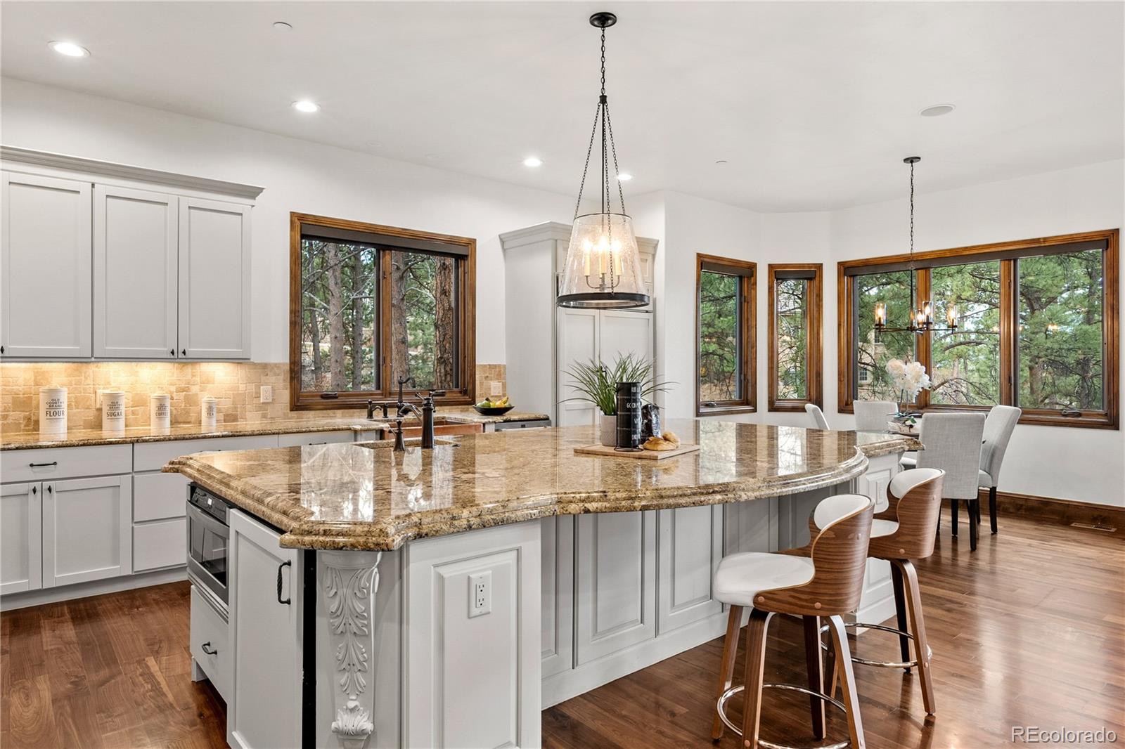 MLS Image #5 for 662  yankakee drive,castle rock, Colorado