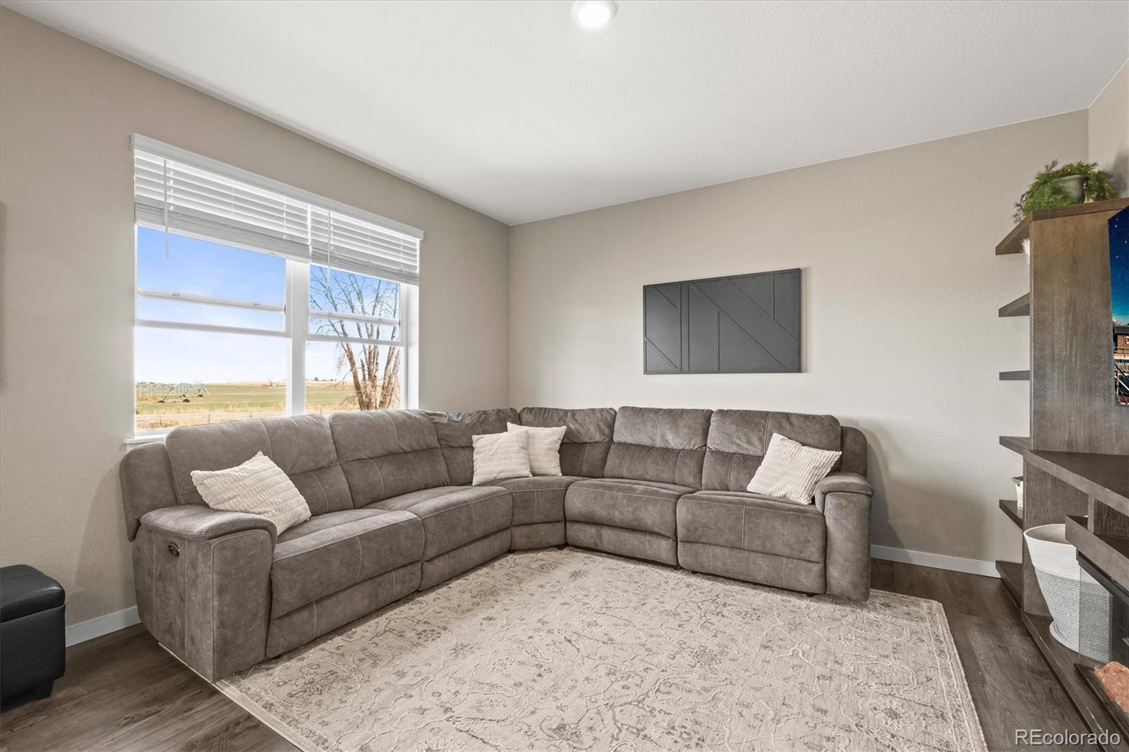 MLS Image #18 for 14652  bonsmara drive,mead, Colorado