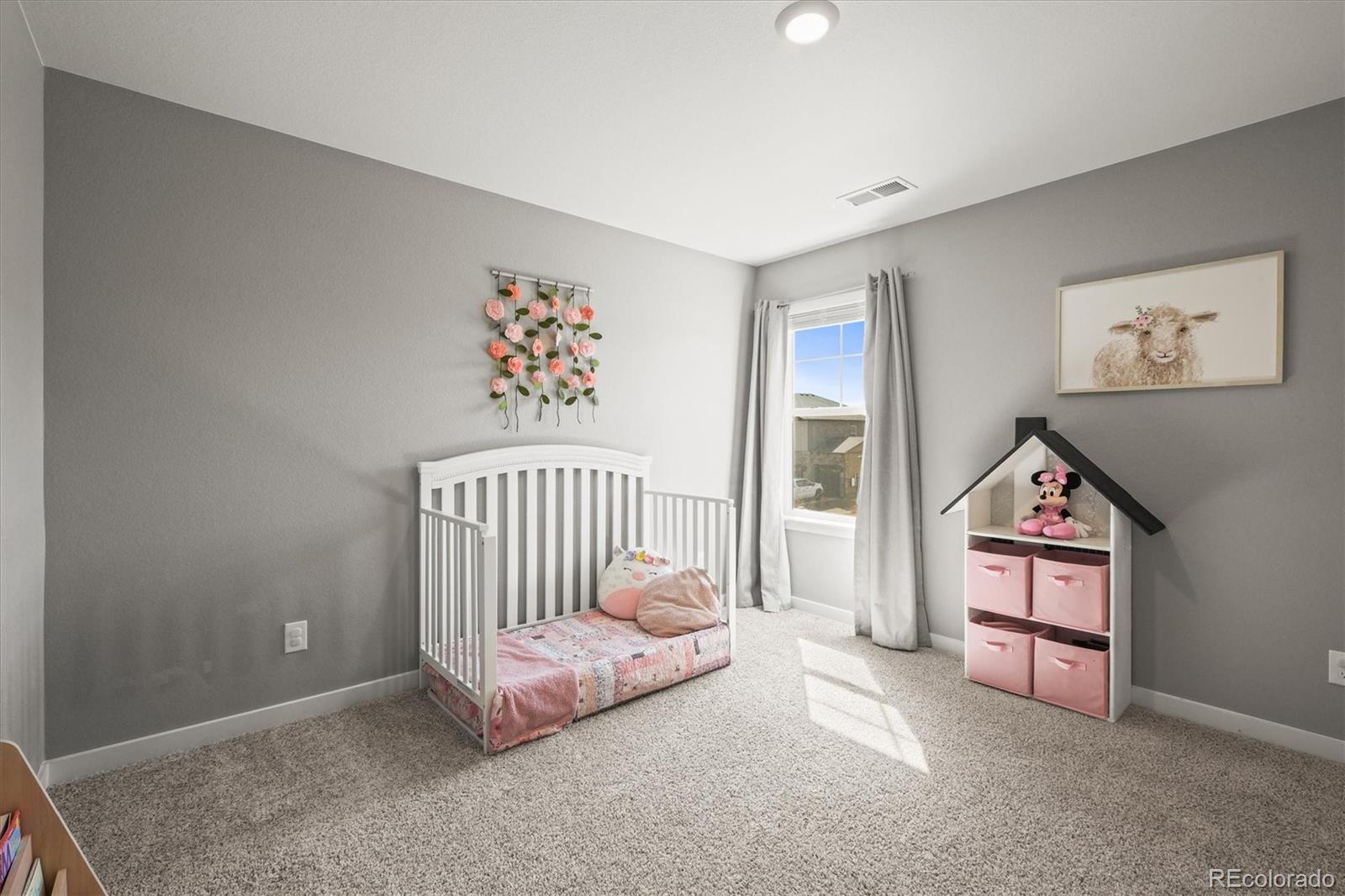 MLS Image #26 for 14652  bonsmara drive,mead, Colorado